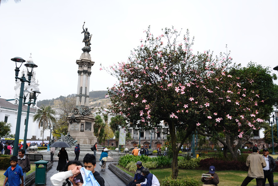 Quitoguiden